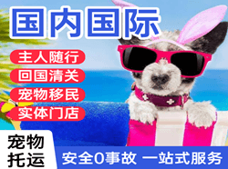 查干湖机场邮寄国际宠物托运 【国